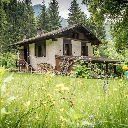 فيلا Chalet Silenthia Lenzumo di Concei المظهر الخارجي الصورة