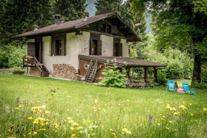 فيلا Chalet Silenthia Lenzumo di Concei المظهر الخارجي الصورة